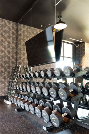 A rack of dumbbells in a gym