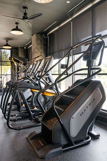 A row of treadmills are lined up in a gym