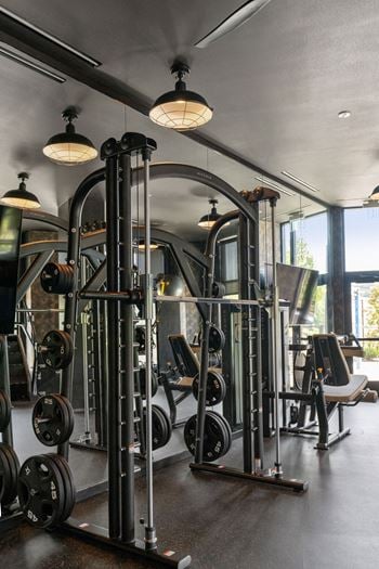 A gym with a row of weightlifting equipment