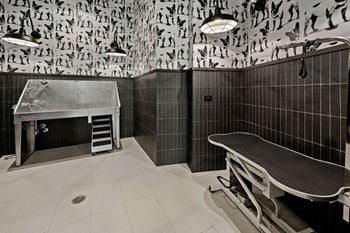 A bathroom with a tiled wall and a bench
