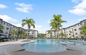 Naples apartment for rent - Palm trees flanking either side of the pool in the center of the apartment home buildings at Inspira, Naples, 34113