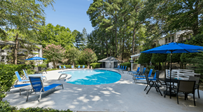 Raleigh apartment for rent - A pool surrounded by trees and chairs.