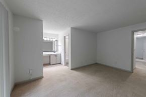 Raleigh apartment for rent - A spacious room with a window and a door leading to another room.