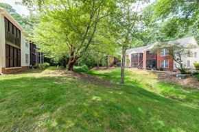 Raleigh apartment for rent - A tree in a grassy area in front of a building.