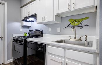 Renovated apartment kitchen