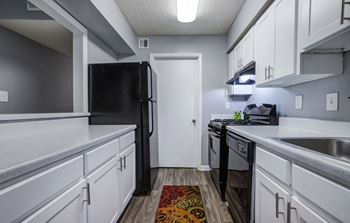 Renovated apartment kitchen