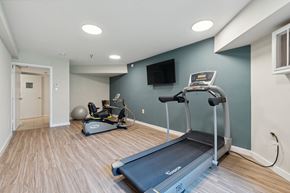 Columbia apartment for rent - a home gym with a treadmill and exercise balls