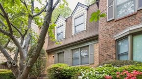 Silver Spring townhouse for rent - A tree with green leaves is in front of a brick townhome.