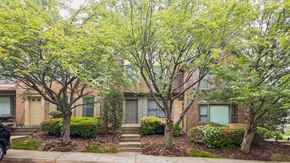Silver Spring townhouse for rent - A row of houses with trees in front.