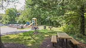 Annapolis apartment for rent - A playground with a yellow slide is surrounded by trees and has picnic tables nearby.