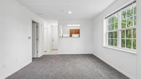 Ellicott City apartment for rent - A large empty room with a carpeted floor and a window.