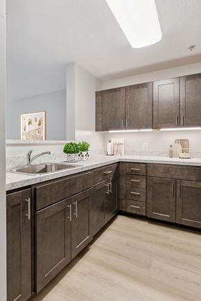 Baltimore apartment for rent - Updated senior apartment kitchen at Park Heights Place in Baltimore, featuring modern appliances, ample counter space, and stylish cabinetry for comfort and convenience.