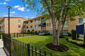 Washington apartment for rent - A tree in a mulched area in front of apartment buildings.
