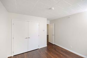 Washington apartment for rent - Comfortable bedroom with large closet and stylish vinyl plank flooring in a market-rate apartment at Edgewood Commons 601—ideal for residents seeking affordable luxury in Washington, DC.