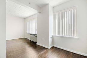 Washington apartment for rent - Spacious living room inside a market-rate apartment at Edgewood Commons 601 featuring hardwood floors, bright natural light, and energy-efficient appliances in Washington, DC.