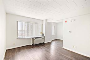 Washington apartment for rent - Spacious living room inside a market-rate apartment at Edgewood Commons 601 featuring hardwood floors, bright natural light, and energy-efficient appliances in Washington, DC.