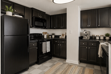 Washington apartment for rent - A black fridge and microwave in a kitchen with black cabinets.