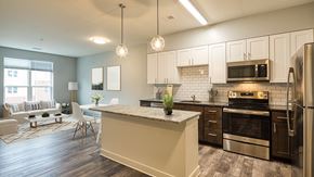 Richmond apartment for rent - Van de Vyver Kitchen