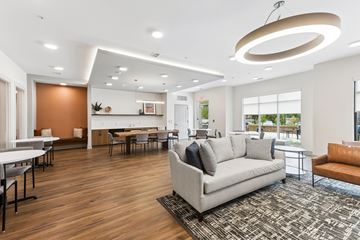 Columbia apartment for rent - A modern living room with a grey sofa and a wooden floor.