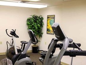 York apartment for rent - a row of exercise bikes in a gym