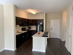 Baltimore apartment for rent - Sleek, modern kitchen with large island at Metro Heights apartment community near downtown Baltimore.