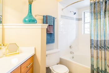 Oversized soaking tub and bathroom