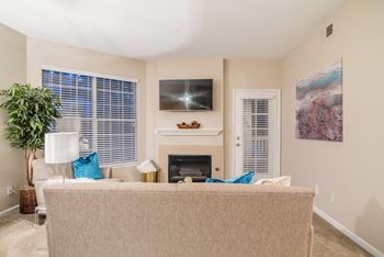 Fireplace area 