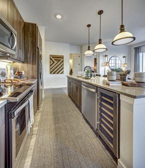 Cedar Park apartment for rent - Modern Kitchen With Custom Cabinet at The Alden at Cedar Park, Texas