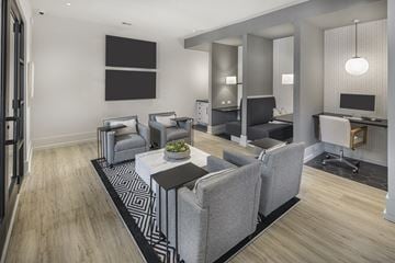 Flowery Branch apartment for rent - A modern living room with grey furniture and a black and white rug.