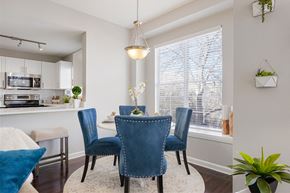 Highlands Ranch apartment for rent - Model Dining Room at The Bluffs at Highlands Ranch, Highlands Ranch, Colorado