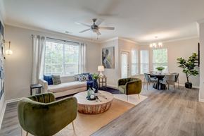 Raleigh apartment for rent - Centerview at Crossroads Apartment Living Room at Centerview at Crossroads, Raleigh, NC