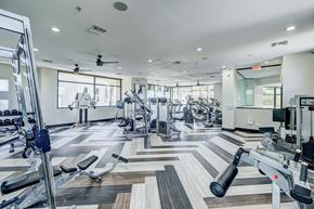 Phoenix apartment for rent - the gym at the monarch luxury apartments in des plaines