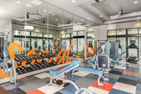 Orlando apartment for rent - a fitness room with weights and cardio equipment and windows