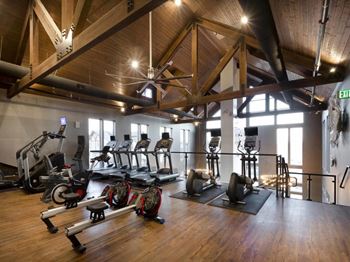 The fitness center