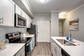 Tampa apartment for rent - New Luxury Kitchen and Stainless Steel Appliances at The Preserve at Westchase, Tampa, 33626