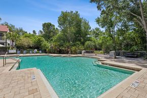St. Petersburg apartment for rent - A swimming pool surrounded by trees and a clear blue sky.