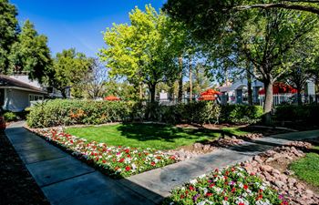 A garden with a variety of flowers and trees.