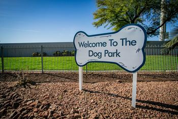 Dog park view