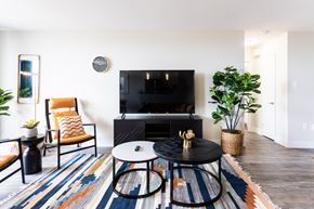 London apartment for rent - A living room with a black TV and a striped rug.