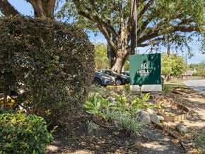 Lafayette apartment for rent - A green sign with the text "HOLLY" is in front of a tree.