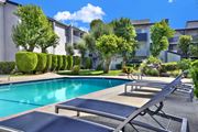 Reseda apartment for rent - A pool surrounded by trees and bushes with sun loungers.