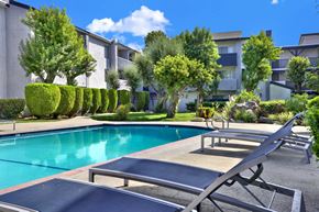 Reseda apartment for rent - A pool surrounded by trees and bushes with sun loungers.