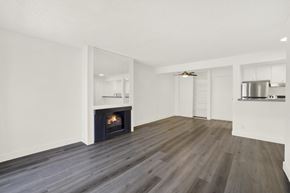 Reseda apartment for rent - A modern living room with a fireplace and wood flooring.