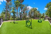 Canyon Country apartment for rent - a park with agility equipment on the grass at Monterra Ridge Apartments, Canyon Country
