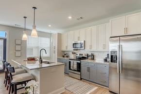 Asheville apartment for rent - view of kitchen  in Asheville NC