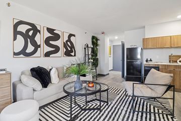 Columbia apartment for rent - A living room with a black and white striped rug, a grey couch, a black chair, a glass coffee table, and three abstract paintings on the wall.