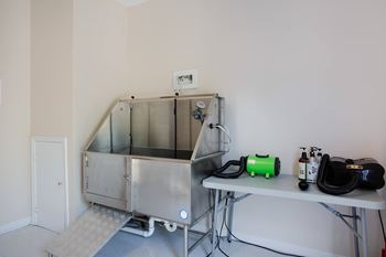 Pet wash station
