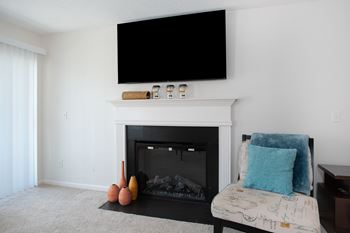 Electric & wood burning fireplaces*