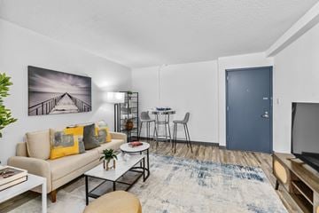 Fayetteville apartment for rent - A living room with a couch, a coffee table, a rug, a chair, a TV, and a painting on the wall.