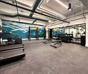 Asheville apartment for rent - A gym with treadmills, weights, and a wall mural.
